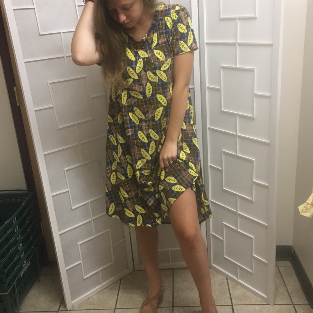 NWOT LuLaRoe Carly Dress